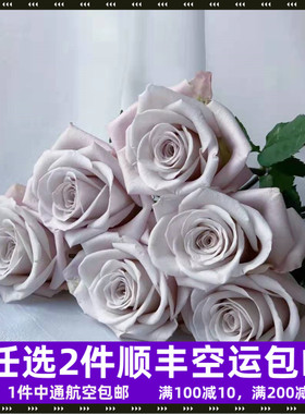 曼塔玫瑰花云南鲜花基地直发昆明斗南F市场直批空运水养花灰色顺