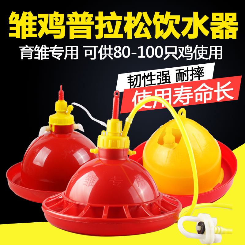 速发备殖养鸡设养用品鸡拉松自动饮水器鸡鸭鹅用喂水器普场喂鸡饮
