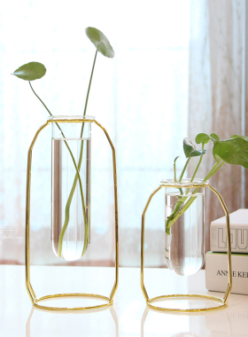 北欧金属铁艺水培容器玻璃试管花瓶干花插花创意家居客厅简约摆件