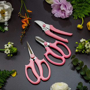 花剪园艺剪刀修枝剪花修花剪刀套装家用插花花艺剪刀花艺师工具包