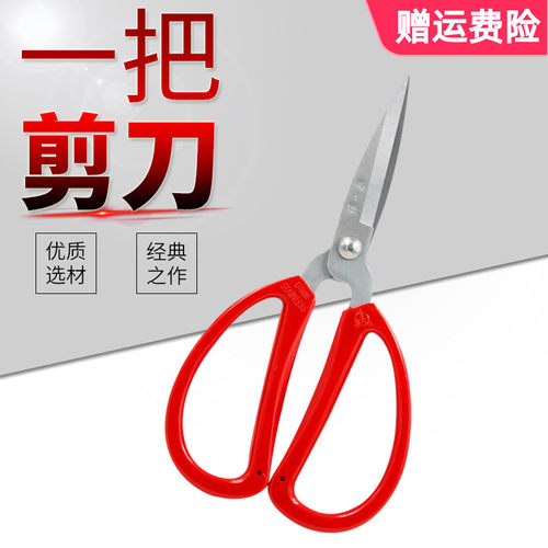 不锈钢家用老式剪刀 园艺修花剪 办公轻便剪 厨房家用剪锋利耐用