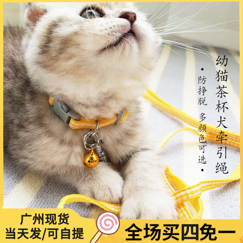 极速猫咪牵引绳幼猫犬工字胸背带脖圈栓猫绳防Q挣脱猫狗链子加长