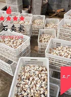 包邮快速一次性热电偶 纸管测温棒 铸造冶炼 KW602钨铼KD铂铑KSKB