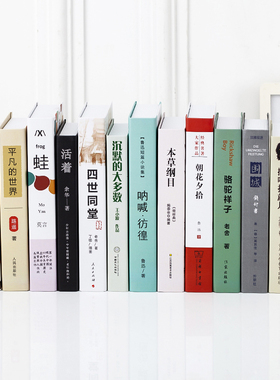 中文文艺简约假书仿真书装饰咖啡厅餐厅摆件品创意摆设道具书模型