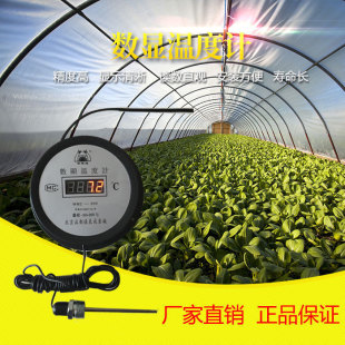电子数显温度计家用壁挂工业高精度冰箱冷库鱼缸大棚温度表