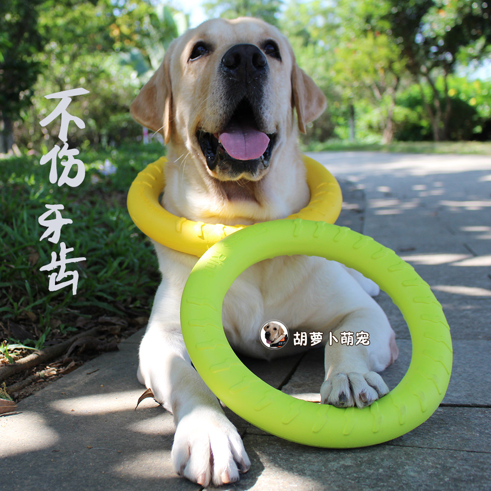 不伤牙齿 幼犬磨牙换牙期狗玩具EVA橡胶耐L咬金毛拉布拉多洁齿玩
