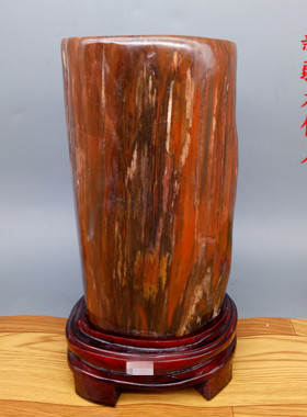 天然新疆木化石 树化玉硅化木原石 观赏泰山玛瑙装饰奇石