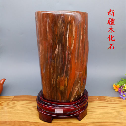 天然新疆木化石 树化玉硅化木原石 观赏泰玛瑙奇石