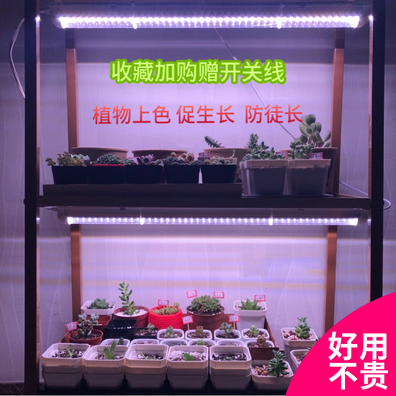 植物生长灯 全光谱植物生长灯 多肉上色植物灯 花卉蔬菜组培灯