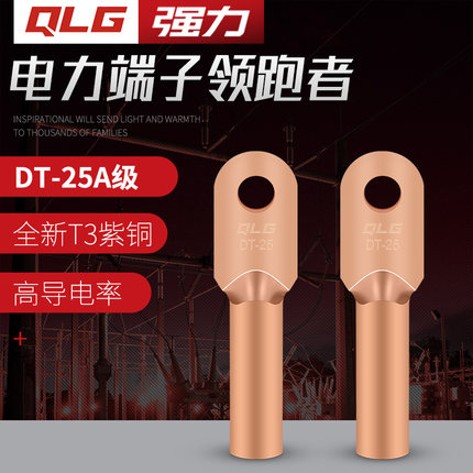 QLG强力铜鼻子 DT-25  铜鼻子接线端子 A级国标  20只