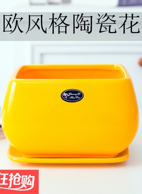 创意长方形花盆陶瓷北欧简约客厅阳台绿萝蝴蝶兰花盆红黄色带托盘