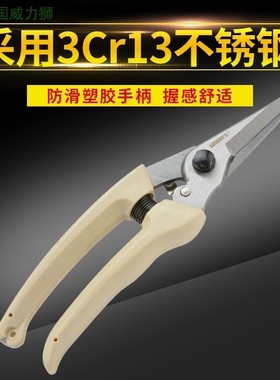 威力狮修花剪园艺剪刀不锈钢修枝剪修剪树枝剪刀家用粗枝剪w131