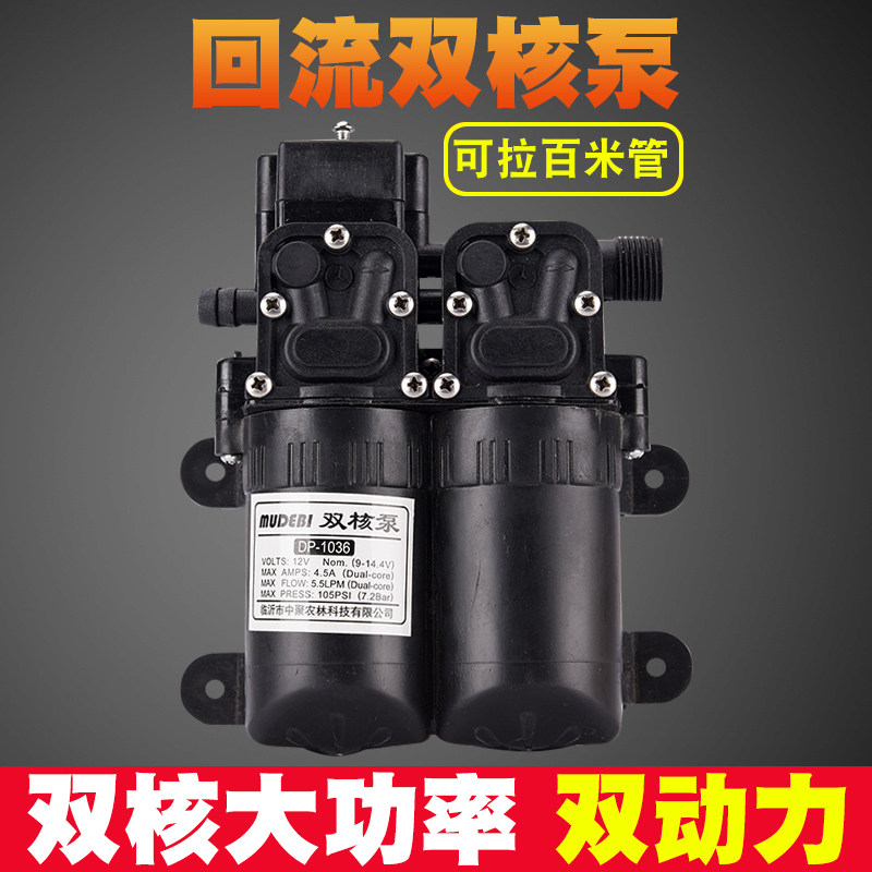 大功率12V双核泵动力水泵 农用电动喷雾器改装双泵高压打药洗车泵