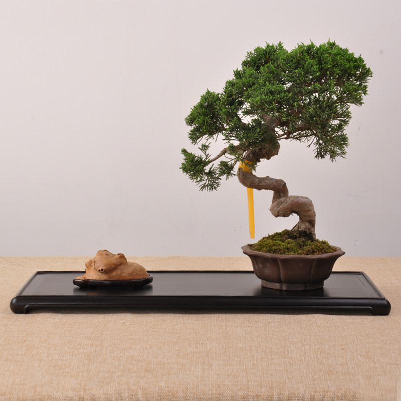 红木实木胡桃木黑檀红酸枝瘿木明式长方茶具O盆景底座奇石摆件底