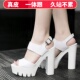 真皮超高跟女凉鞋 婚纱鞋 粗跟厚底工作2021F新款 防水台走秀跳舞鞋