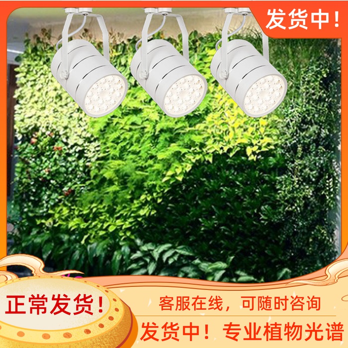 植物墙工程专用全光谱植物生长补光灯绿植墙轨道射灯LED生长灯