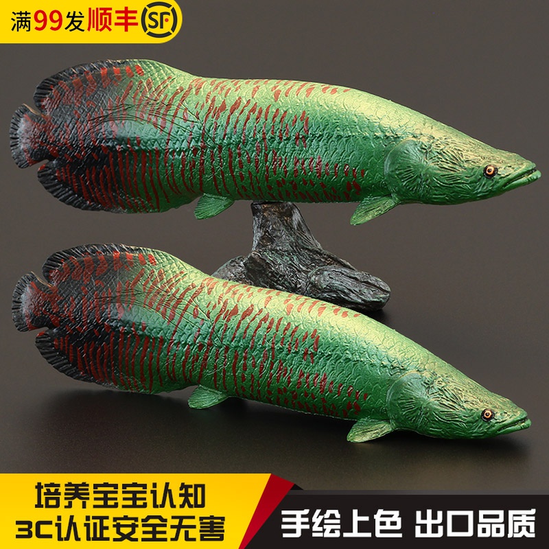 实心仿真动物模型玩具观赏鱼 大头巨骨舌K鱼 海象鱼 军舰龙 摆件