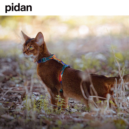 pidan猫咪牵引绳套装猫咪H型背带遛猫绳防挣脱猫链子宠物用品
