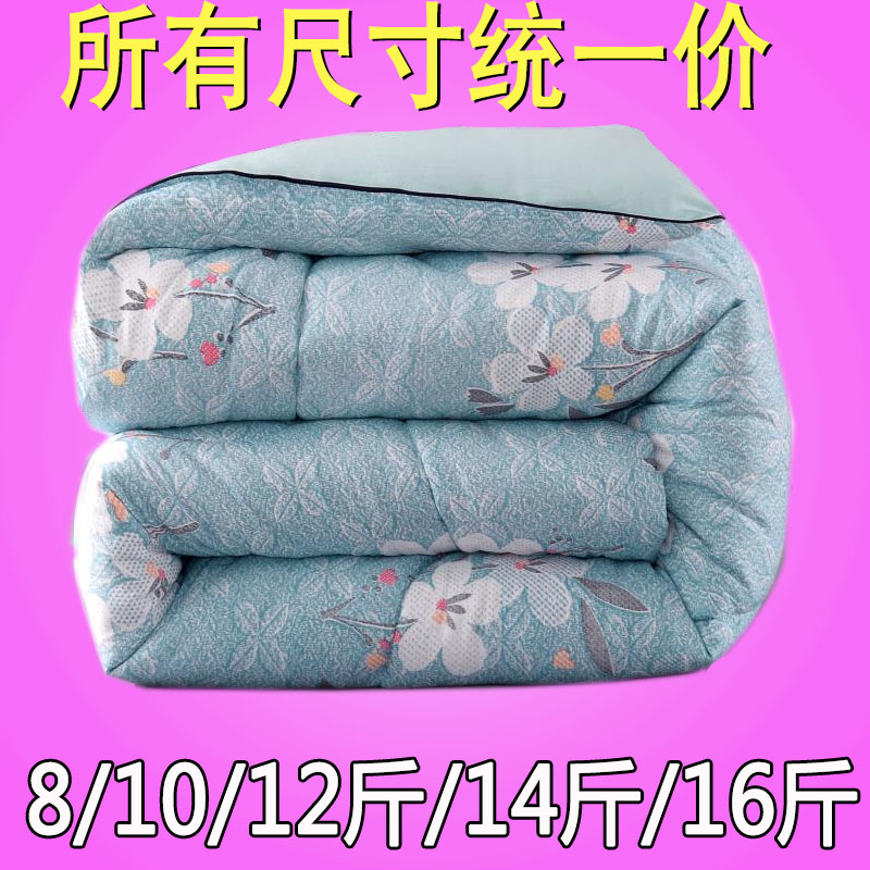 加厚冬被水洗棉被子芯2.0/1.8X2.2X2.4米床羽丝绒8/10/12/14/16斤