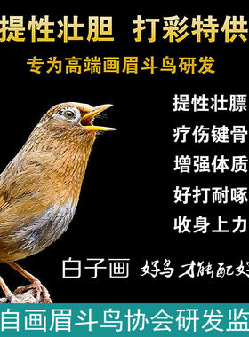 白子画A2高端画眉斗雀鸟食纯手工饲料打彩专用收身上力提性壮膘王