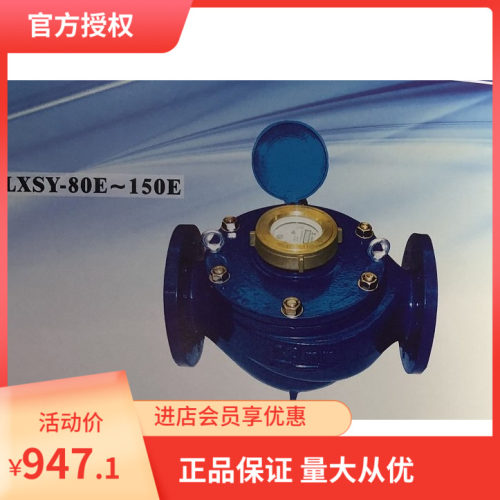 埃美柯LXSY-E 077铁壳全液封法兰南瓜表冷水表DN80100150