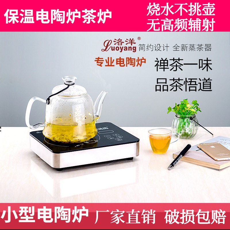 洛洋电陶炉茶炉煮茶迷你静烧水泡茶保温小型铁壶蒸茶器火锅