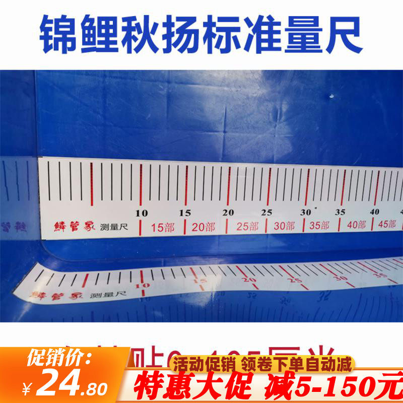 标准锦鲤鱼秋扬量尺大型观赏鱼体长测量尺蓝盆周转箱自贴尺子防水,鲜花速递/花卉仿真/绿植园艺,洒水/浇水壶,淘宝优惠券,粉丝福利购,淘宝优惠卷