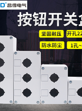 CNTD昌得2孔1按钮开关控制盒3位白色4塑料孔22mm Y090 LA38 39XB2