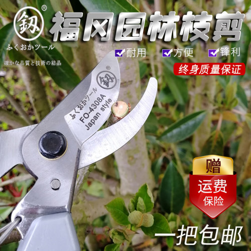 日本福冈园林剪果实树枝剪园艺剪刀工业家用省力修枝摘果园丁神器