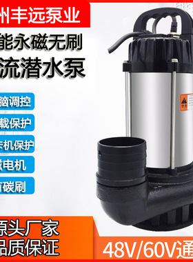 48V60伏无刷直流潜水泵农业灌溉电动车抽水泵大流量2寸2.5寸3寸
