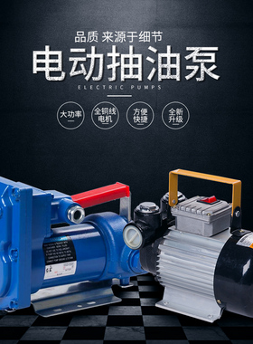 加油泵抽油器12v24v220v电动汽柴油大流量550w自吸齿轮机油泵
