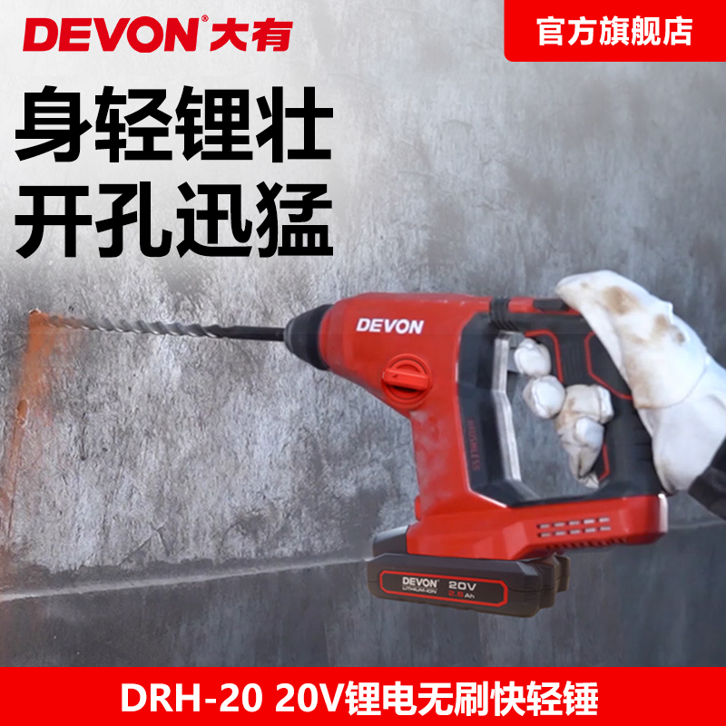 大有无刷充电电锤小型多功能两用轻型冲击钻大功率电动工具DRH-20