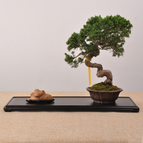 红木实木胡桃木黑檀红酸枝瘿木明式D长方茶具盆景底座奇石摆件底