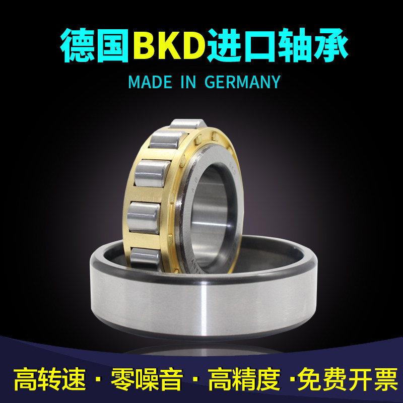 德国BKD圆柱滚子进口轴承N207 N208 N209 N210 EM P4 P5 铜保持架