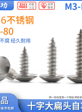 316不锈钢大扁头自攻螺丝钉长木螺钉十字槽蘑菇头螺丝钉M3M4M5M6