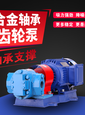 KCB轴承合金齿轮油泵铜线电机自吸高压大流量低噪音柴机齿轮油泵