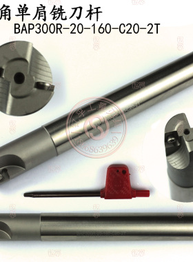 BAP直角单肩铣刀杆BAP300R-20-150L-200L-C20/C24/C25-2T-3T