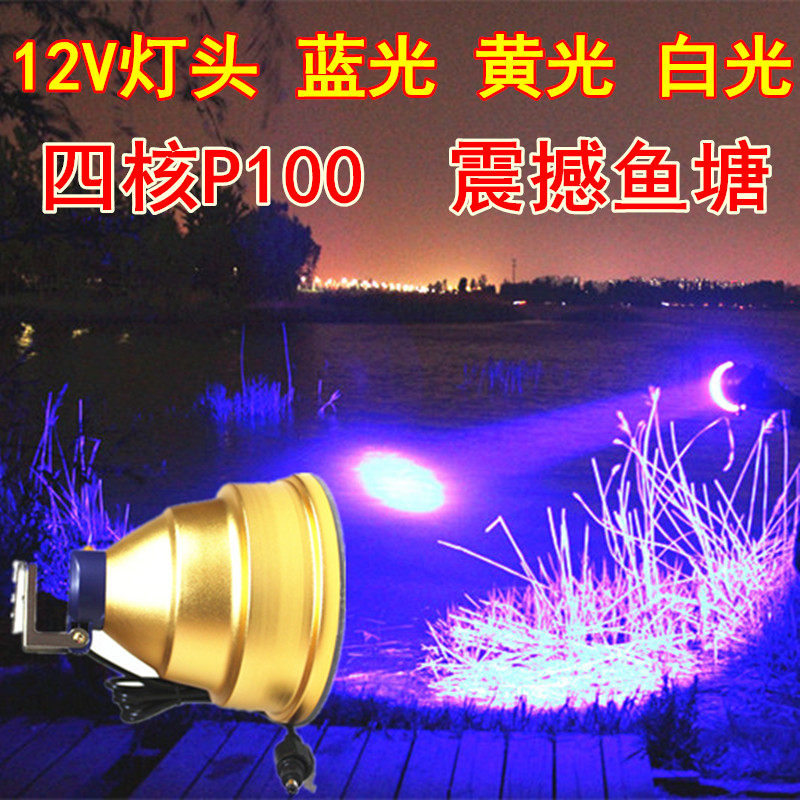 12V蓝光白光黄光外接灯头钓鱼灯P100夜钓头灯P90强光24V36V夹电瓶