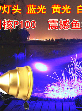 12V蓝光白光黄光外接灯头钓鱼灯P100夜钓头灯P90强光24V36V夹电瓶