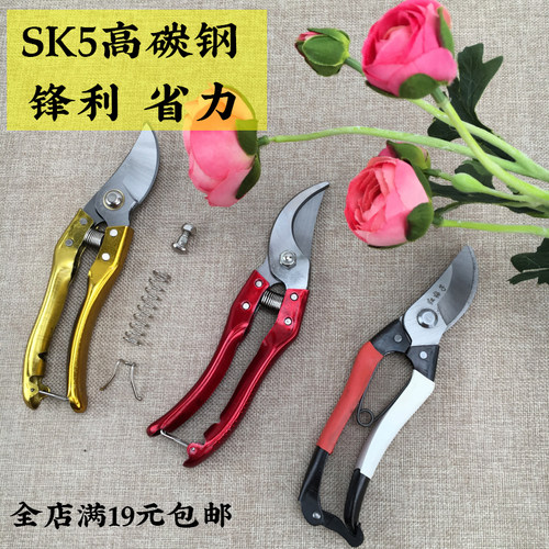 修枝剪果树省力家庭园艺剪刀鲜花树枝修花园林草坪剪篱笆剪正品