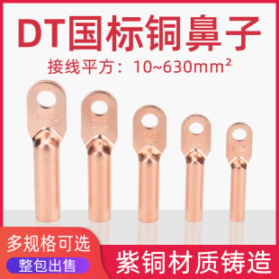 国标A级DT10 185 240平方X铜鼻子接线端子 150