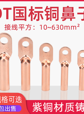 国标A级DT10/g16/25/35/50/70/95/150/185/240平方铜鼻子接线端子