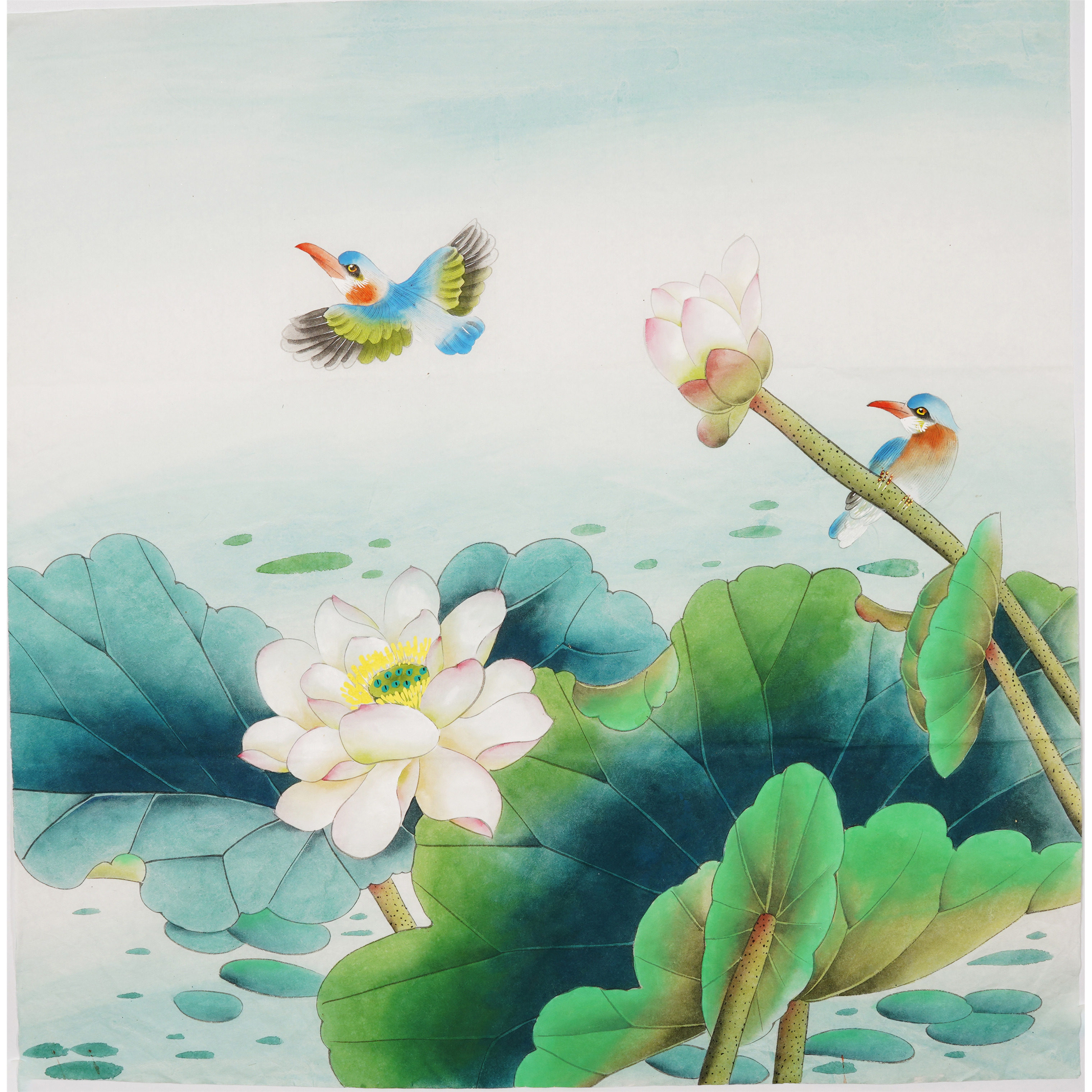 手工无款工笔画纯手绘花鸟牡丹荷y花国画没题款装饰画没落款00006