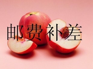 邮费补价 就拍几个 请不要随意拍下哦 差多少元