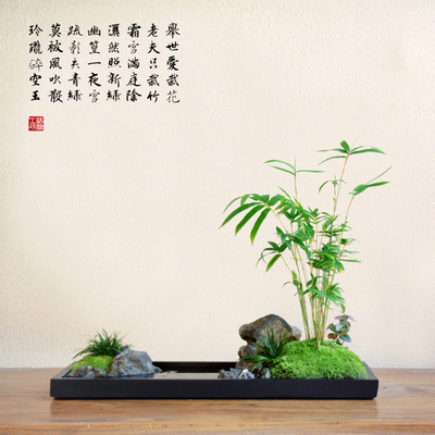 竹子凤尾竹米竹苔藓菖蒲假山新中式售楼处盆景盆栽枯山水书房摆件