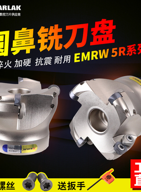 数控刀盘10T3刀盘加工中心RPMT10T3刀片R5圆鼻面铣刀盘EMRW 5R50