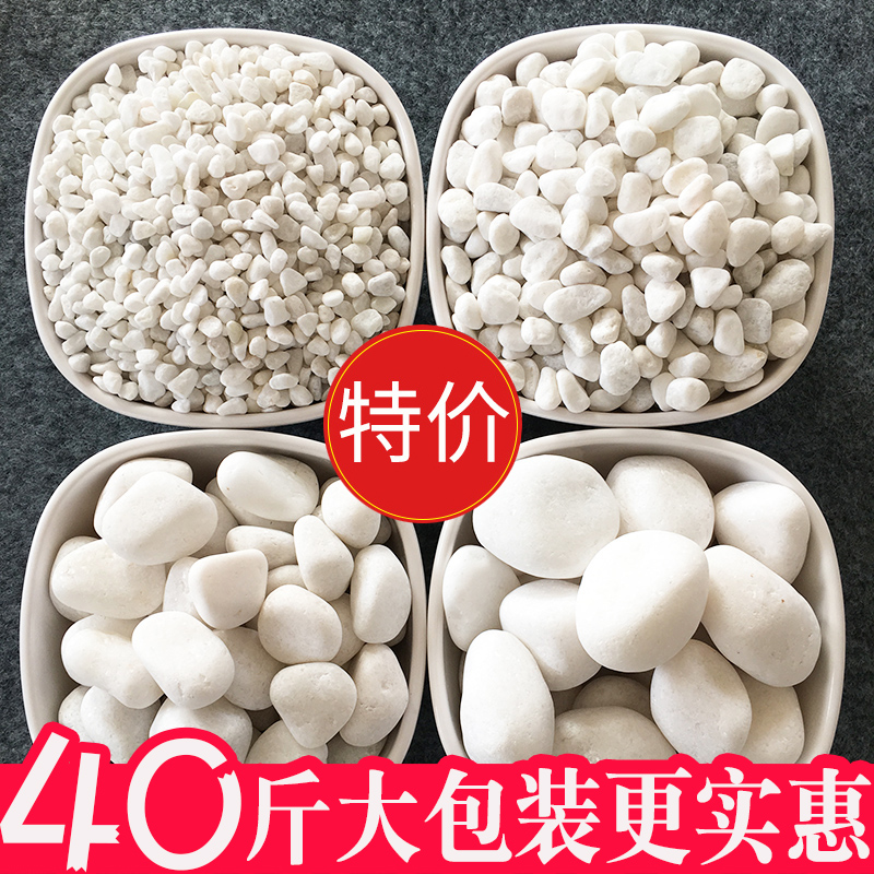 40斤白色石子景观石头大小鹅卵石庭院铺路铺地阳台花X园枯山水造
