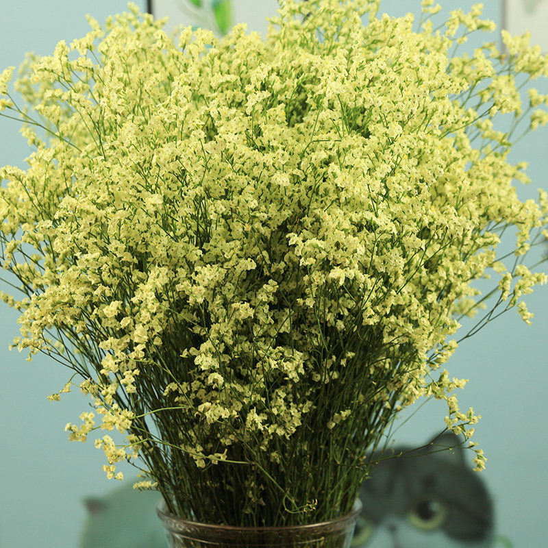 水晶草鲜花干花花束云南鲜花特产一束花自然风干基地直发真花