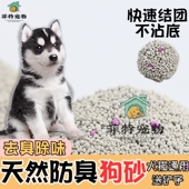 狗沙砂狗狗宠物专用防臭狗厕所中小型犬幼犬拉屎尿尿防踩屎膨润土