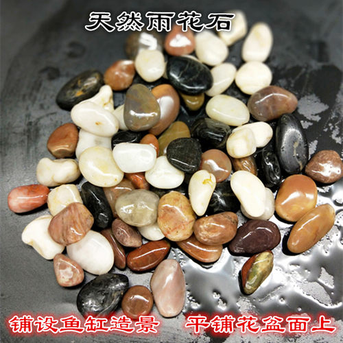 鹅卵石雨花石天然小石子装饰鱼缸花盆多肉盆栽园艺彩个性石头造景